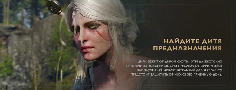 The Witcher 3: Wild Hunt Complete Edition