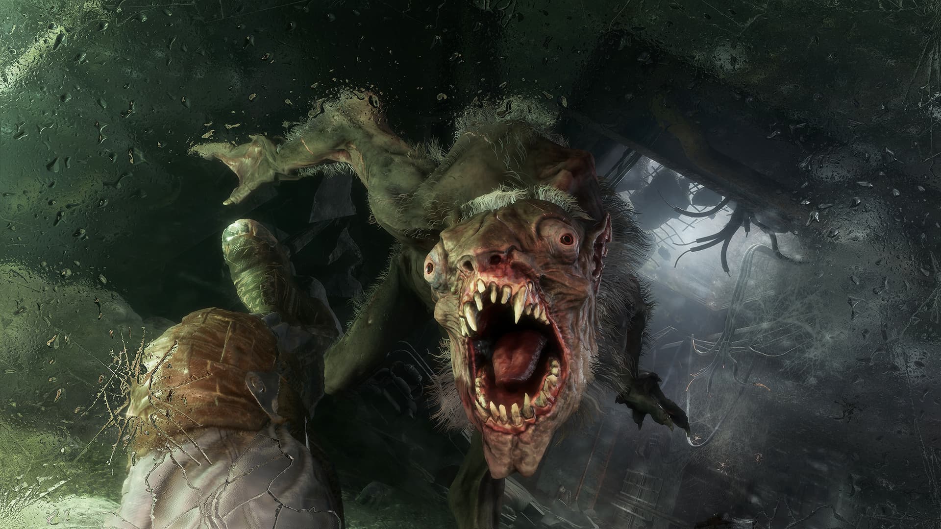 Скриншот Metro Exodus Gold Edition
