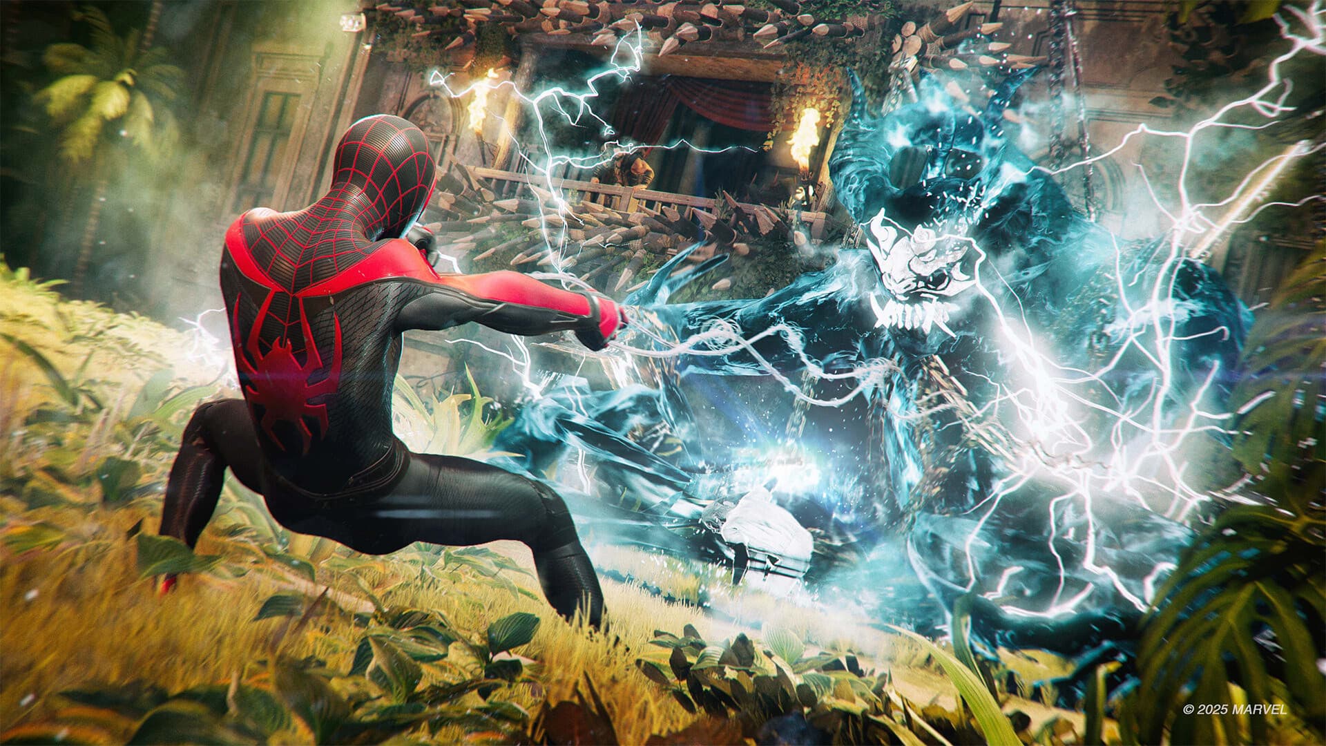 Скриншот Spider Man 2