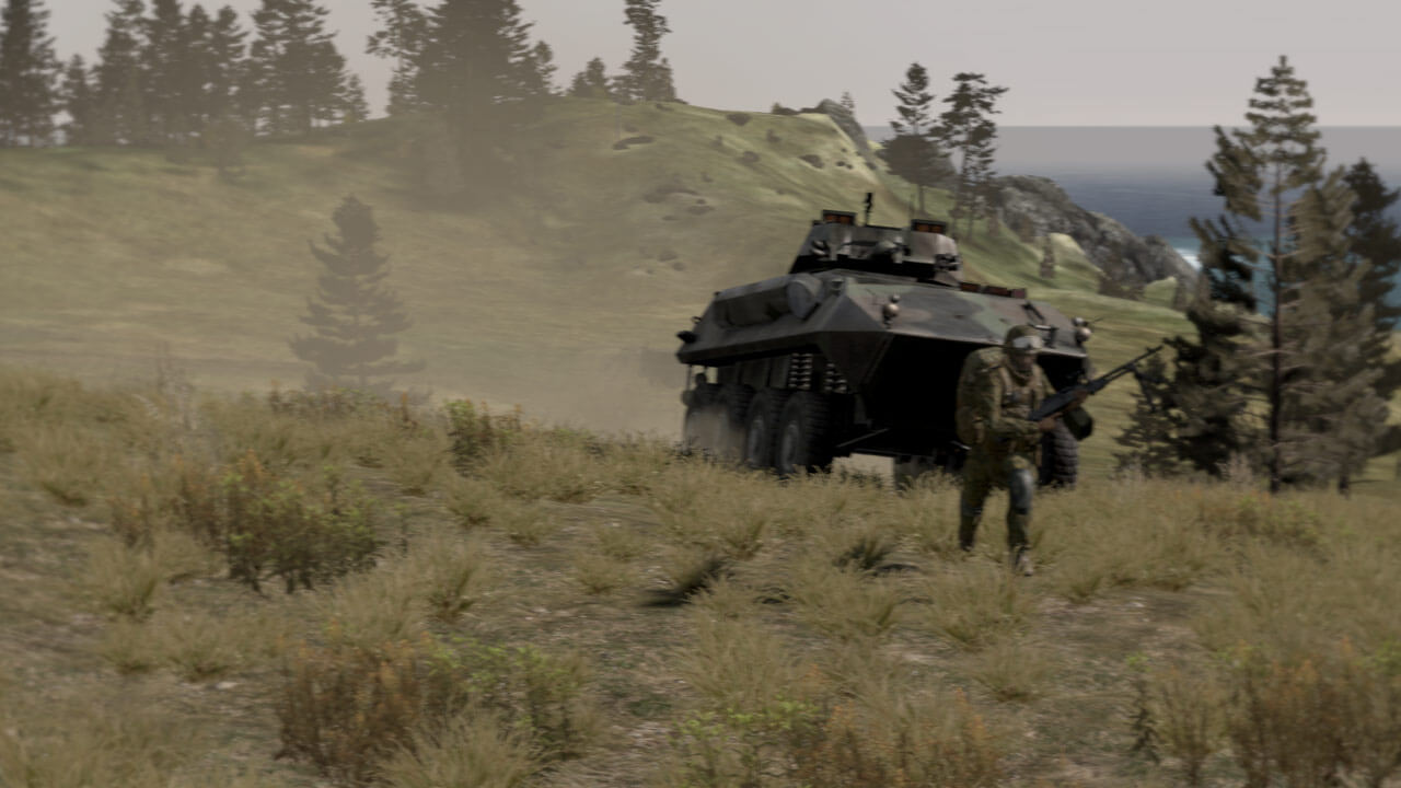 Скриншот Arma 2