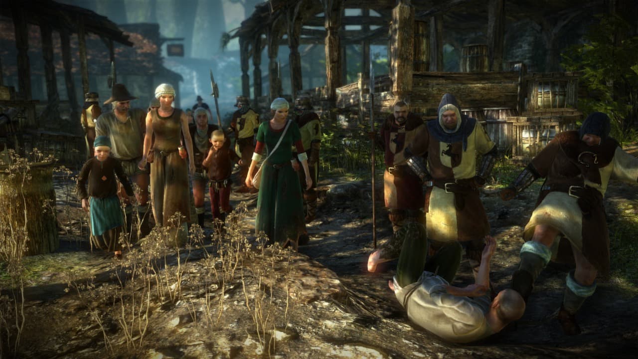 Скриншот The Witcher 2: Assassins of Kings Enhanced Edition