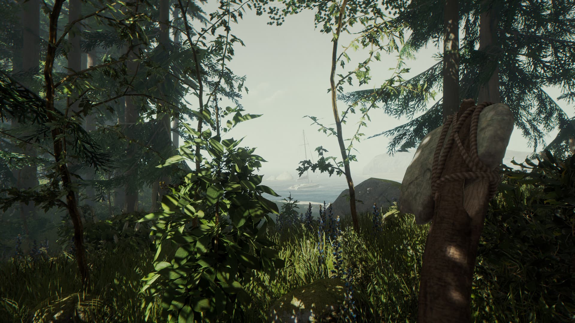 Скриншот The Forest