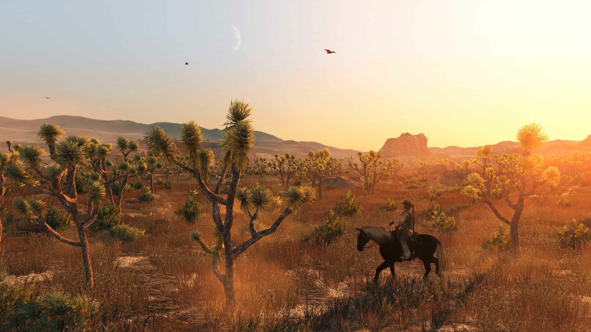 Скриншот Red Dead Redemption