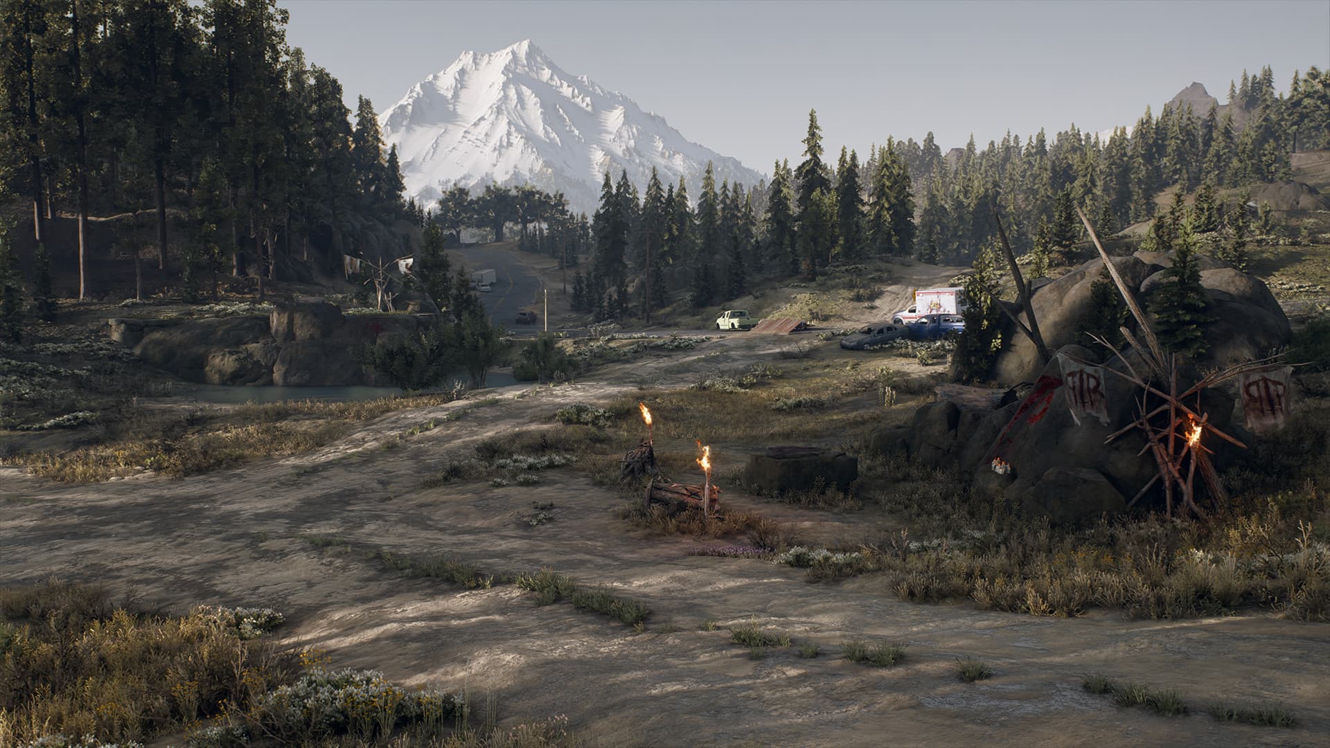 Скриншот Days Gone