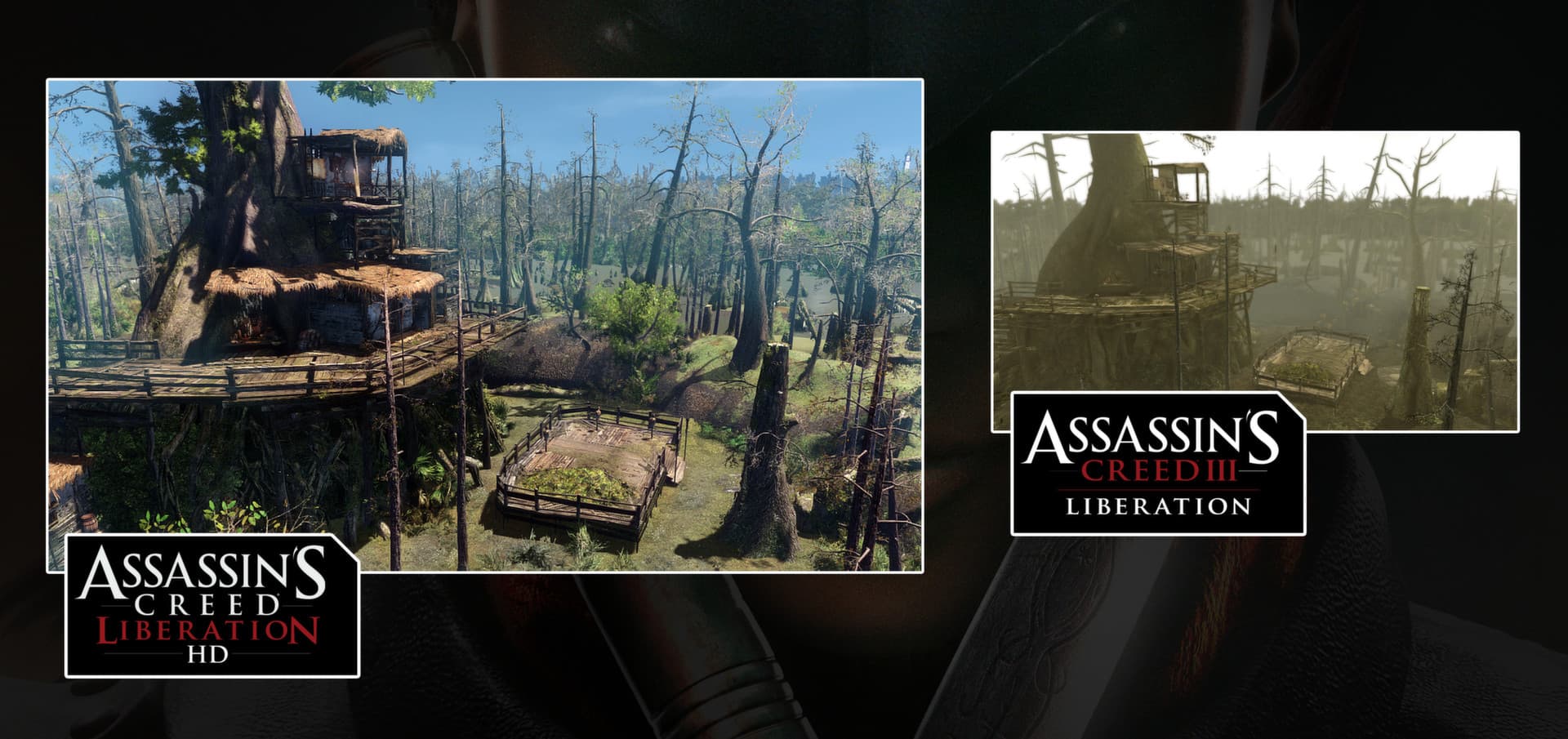 Скриншот Assassin’s Creed Liberation
