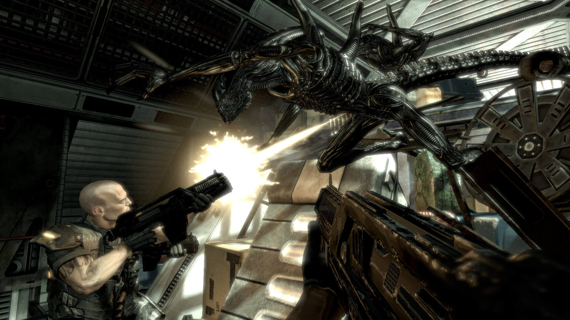 Скриншот Aliens vs. Predator