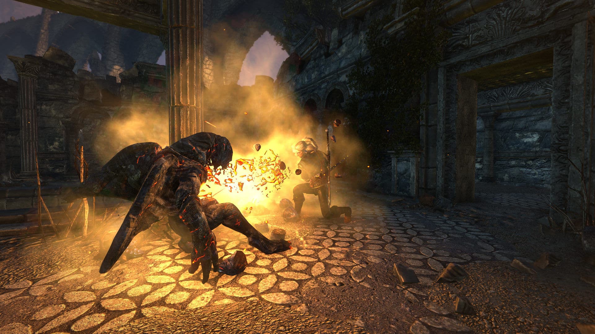 Скриншот The Witcher 2: Assassins of Kings Enhanced Edition