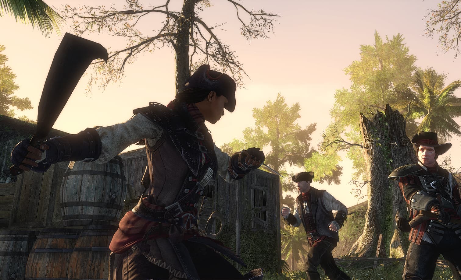 Скриншот Assassin’s Creed Liberation