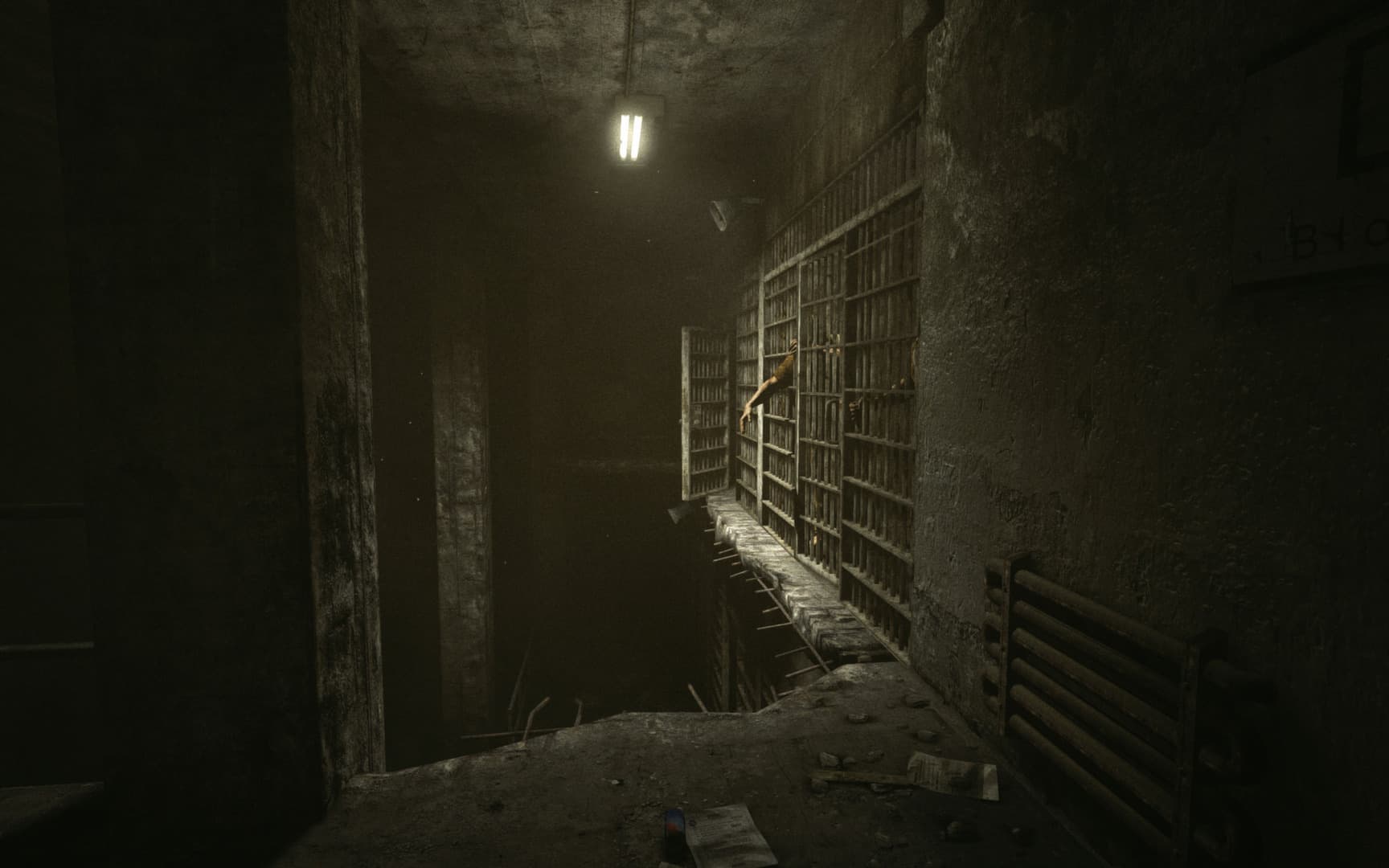 Скриншот Outlast