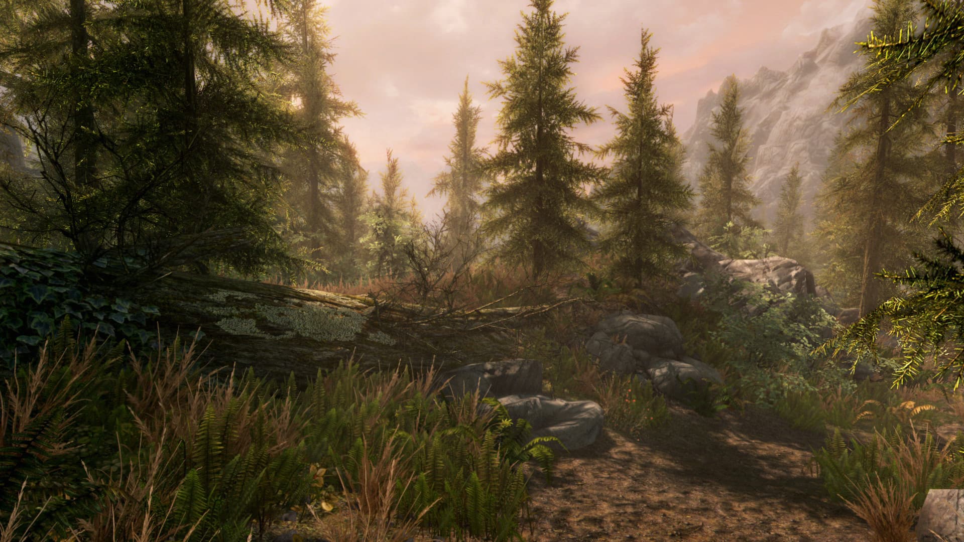 Скриншот The Elder Scrolls V: Skyrim Special Edition