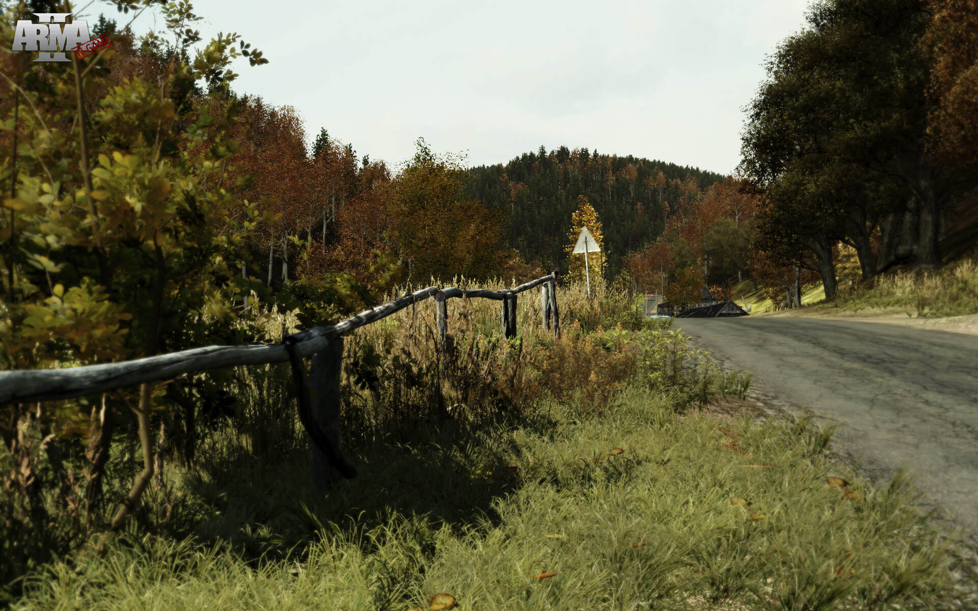 Скриншот Arma 2