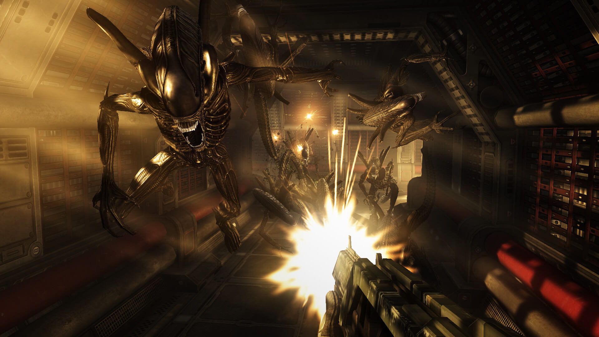 Скриншот Aliens vs. Predator